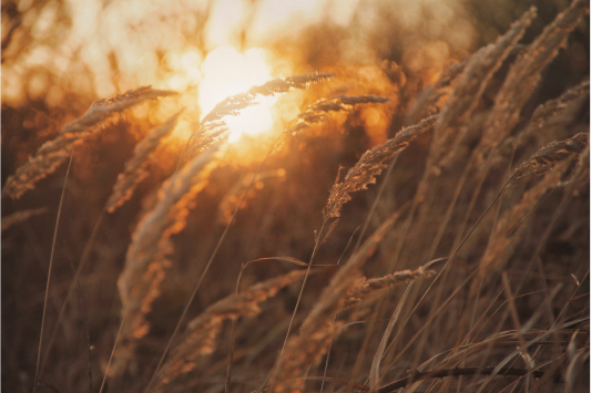 The Elul Learning Cycle is Open!