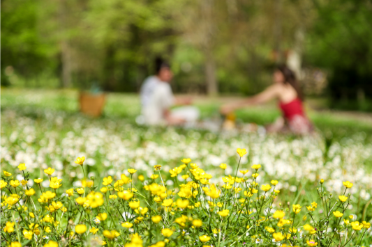 Summer Learning Starts Now